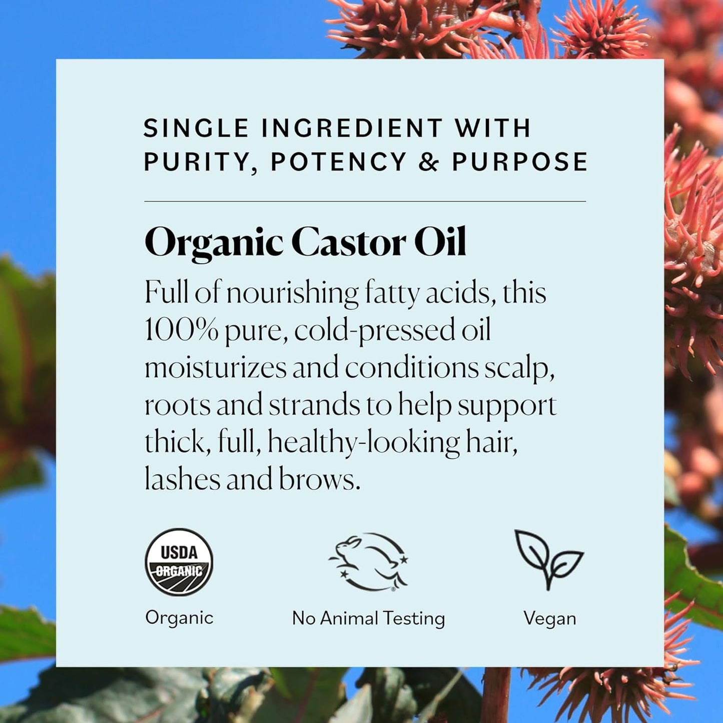 Organic Castor Oil Eyelash Serum (30Ml) by , Cold-Pressed, 100% Pure, Castor Oil - Dry Skin, Hair Growth, Eyelashes Growth & Eyebrows Growth- Caster Oil Lash Enhancer with Mascara Brushes (1Oz Glass Bottle)