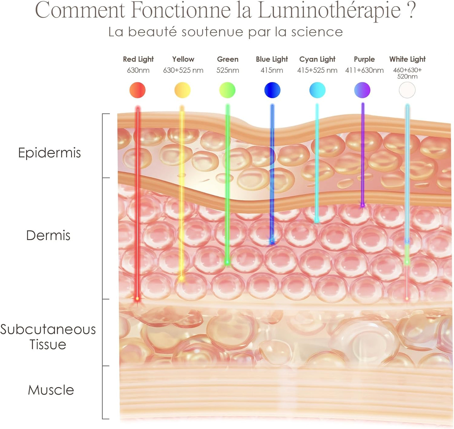 Lumamask LED Light Therapy by  | 7 LED Colors | Anti-Aging & Anti-Blemish Skincare | Reduce Fine Lines & Wrinkles | Remove Dark Spots | Skin Tightening | Lightweight & Wireless